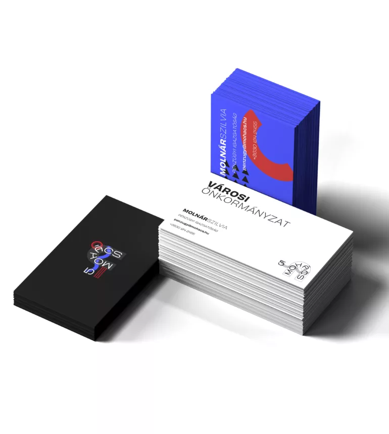 Mohacs 500 concept mockup business card